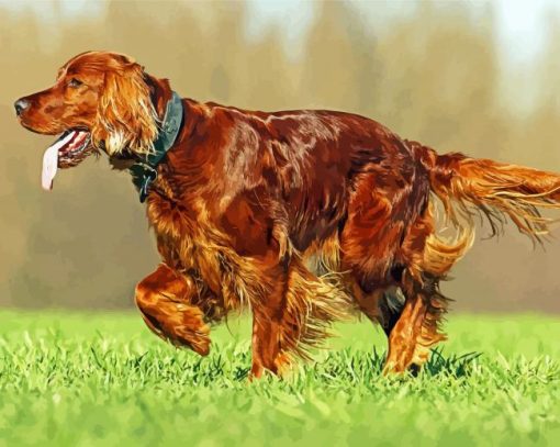 Aesthetic Red Setter Paint by number