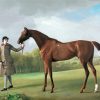 Aesthetic Stubbs Horse paint by number