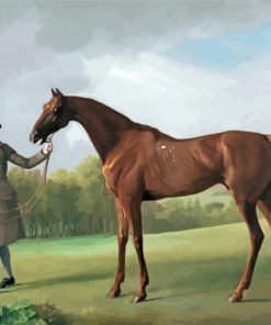 Aesthetic Stubbs Horse paint by number