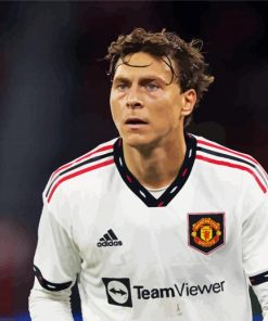 Aesthetic Victor Lindelof paint by number