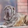 Aesthetic Neapolitan Mastiff Dog paint by number