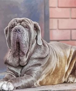 Aesthetic Neapolitan Mastiff Dog paint by number