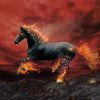 Black Horse In Flames Paint by number