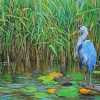 Blue Heron In Swamp Art paint by number