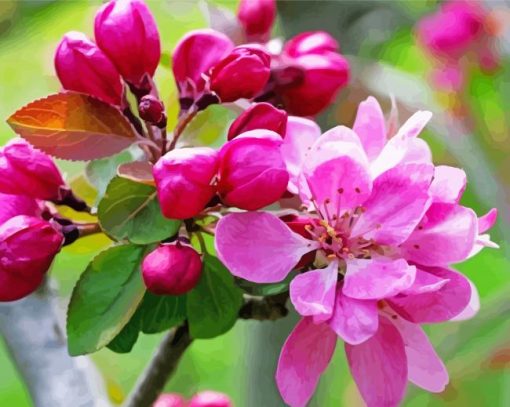 Bright Pink Flowers Blooming On Tree Branch Paint by number