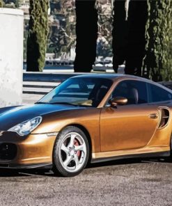 Brown 996 Turbo paint by number