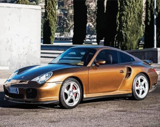 Brown 996 Turbo paint by number