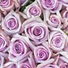 Cool Lilac Rose paint by number