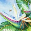 Cool White Bird Of Paradise Plant paint by number