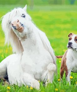 Cute Dog And Horse Paint by number