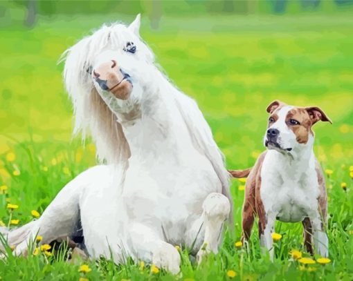 Cute Dog And Horse Paint by number