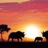 Family Rhino Sunset paint by number