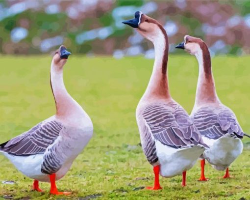 Geese Goose paint by number