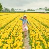 Girl Running Through Yellow Flowers Field paint by number