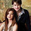 Harry And Ginny paint by number