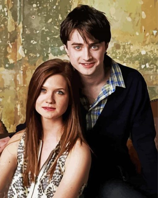 Harry And Ginny paint by number