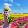 Lady In Tulip Field paint by number