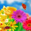 Nature Flowers And Butterflies Paint by number