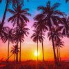 Palm Trees California Sunset Silhouette paint by number