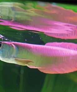 Purple Arowana paint by number