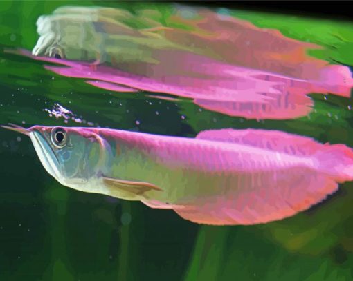 Purple Arowana paint by number