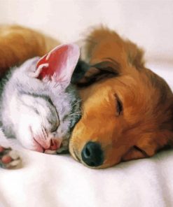 Sleepy Puppy And Kitten paint by number