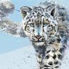 Snow Leopard Art Paint by number