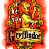 Hogwarts House Gryffindor Paint By Numbers