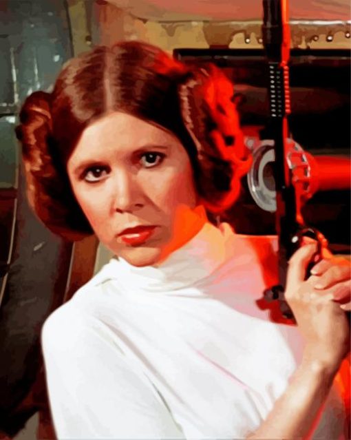 Princess Leia And Gun Paint By Numbers