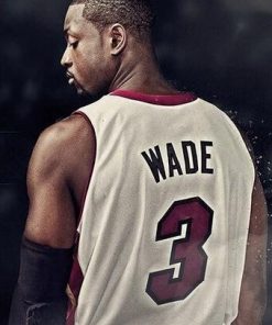 Dwayne Wade Paint By Numbers