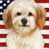 Patriotic Cavachon Paint By Numbers