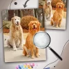 Custom Paint By Numbers​ Pets