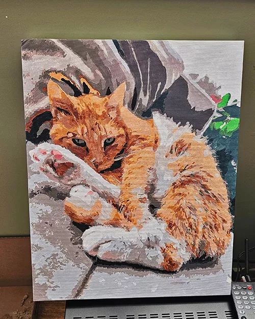 Custom Paint By Numbers​ Pets review 1
