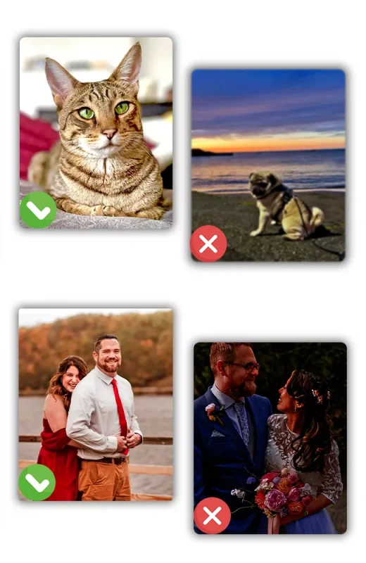 Photo Guidelines for custom 2