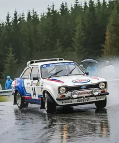 M2 Ford Escort Paint By Numbers