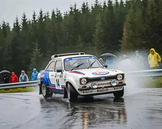 M2 Ford Escort Paint By Numbers