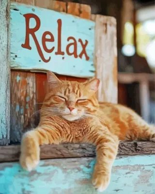 Relaxed Cat Paint By Numbers
