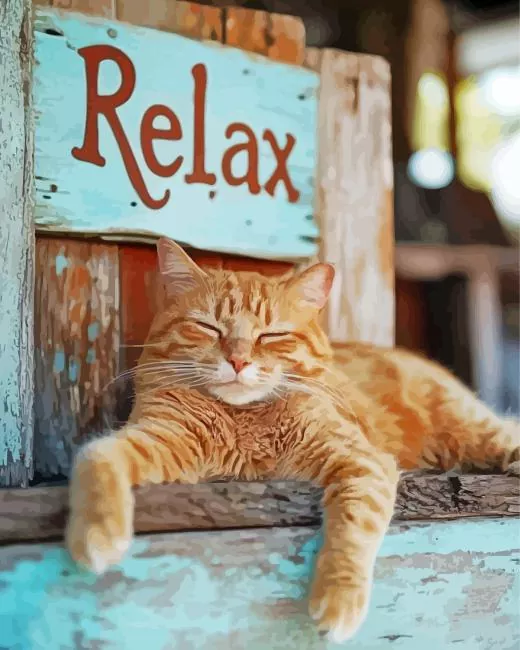 Relaxed Cat Paint By Numbers