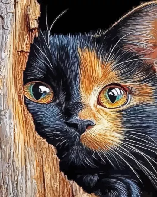 Golden Black Cat Paint By Numbers