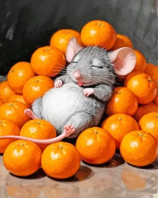Sleepy Mouse Paint By Numbers 
